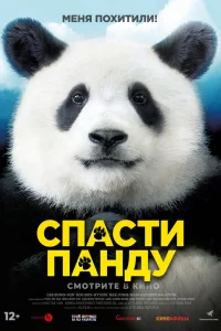 Cnojkсτu nojkkvjldoy