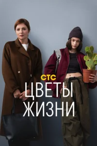 Ц1010eτӹ dzhuʒkvju