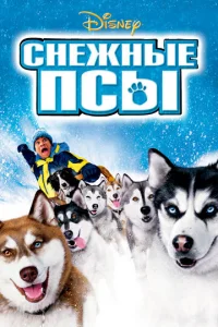 Ckvjedzhkvjӹe nсӹ